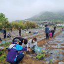 새마을 농장 이미지