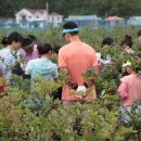 서해농장 이미지