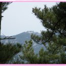 용봉중학교 Daum카페