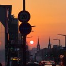 은서농장 | 3월 일상 ~.~