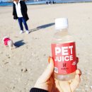 꼬멜 | 강아지음료 : 꼬멜 펫쥬스 후기