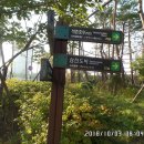 송파구 역사여행삼전도길 | 서울둘레길 걷기(3-2코스) - 고덕.일자산 : 송파 답사에서 백제의 힘을 느끼다 (18년)