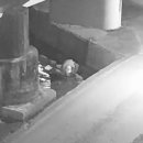 굴다리당구장 이미지