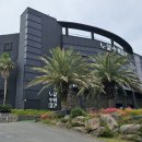 해안동입구 (제주아트리움방면) 이미지