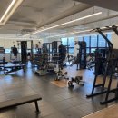 리든덤벨 | [송천동헬스장] 전문적인 트레이너가 있는 리든덤벨