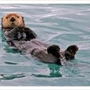 동촌아쿠아수영장 이미지