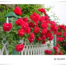 가람유치원 이미지