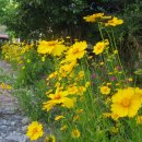 꽃소아청소년과의원 이미지