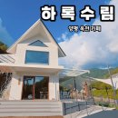 2704 | '하록수림' 양평카페 옥천커피맛집 힐링하기 좋은곳 내돈내산후기