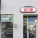 고운동_세종중앙타워 | [세종] 고운동 꽃집 - 꽃다롱