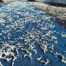 바닷가우리집 이미지