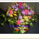 가야검도관 이미지