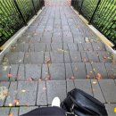 운중체육공원1 이미지