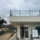 커피 플라워 이미지