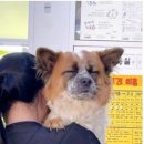 짱구네동물병원 이미지