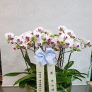 예림난농원