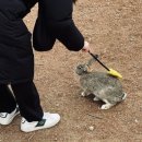 팜랜드 | 경기도 안성 동물공연 및 먹이주기 체험 안성팜랜드 주차 등 후기