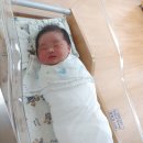 위대한탄생 산후조리원 이미지