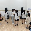 송강홍복싱