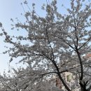 케빈노래연습장 | 뇽뇽일상-용인에서 발견한 당일글램핑⛺ 와일드캠프