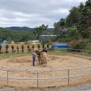 칠곡양떼목장 이미지