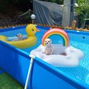 바닷가로뎀나무펜션 이미지