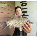 송전지 송도좌대