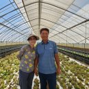 늘푸르름농장 이미지