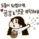 청년다방 미장점 이미지