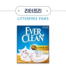 크린에버 이미지