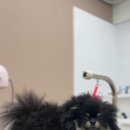 뚜뚜멍멍 이미지