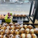 꽈배기는 당연하다 이미지