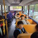 국가대표목동태권도센터 이미지