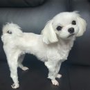 백양동물병원 이미지