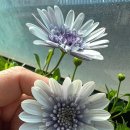 만원에행복 이미지