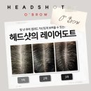오토콜라보
