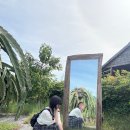 용고개농장 이미지