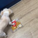 야옹아 멍멍해봐(에코시티점) 이미지