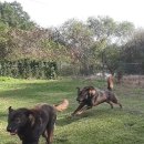 재구농장 이미지