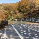 좌구산캠핑장 이미지