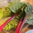 세븐일레븐 광주하남주공점 | 하남 맛집 낙원갈비집 흑석사거리점