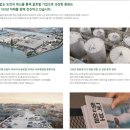 대성제재소 | 동화그룹/동화기업 2022년 상반기 신입사원 공개채용 시작했습니다. 움직이세요. 자기소개서,면접 1:1...