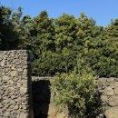 제주 휴식 자쿠지 감성숙소 | 제주 동쪽 감성 숙소 추천 신상 독채 자쿠지 불멍 펜션 후기