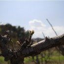 금강농원 이미지