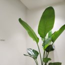 서울빛정신건강의학과의원 이미지