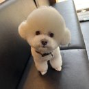 하비동물병원 이미지