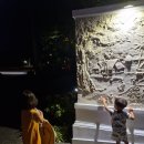 아남세탁 이미지