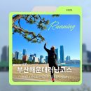 세븐일레븐 부산하이뷰파크점 | 부산 해운대 러닝 코스 | 해운대 해수욕장에서 블루라인파크 따라 달리기 5km 10km 추천