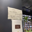 카페 느티