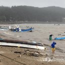 가경주항 이미지